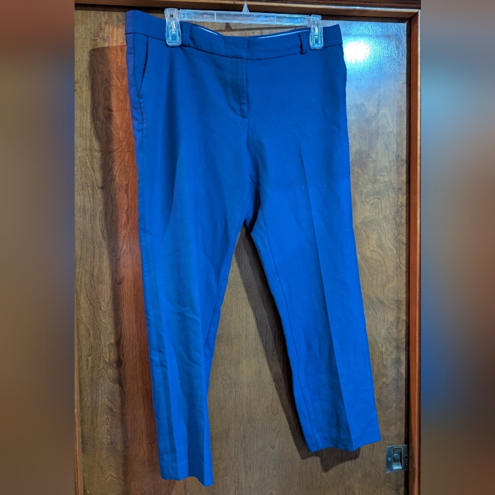LOFT Royal Blue Trousers 14